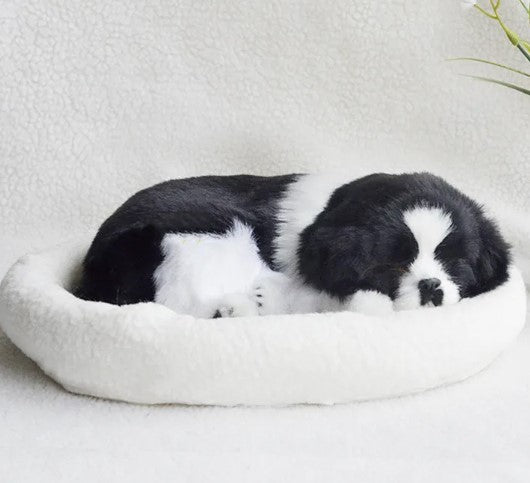 Blackand white color Dog sleeping on a fluffy white pet bed with a light gray background