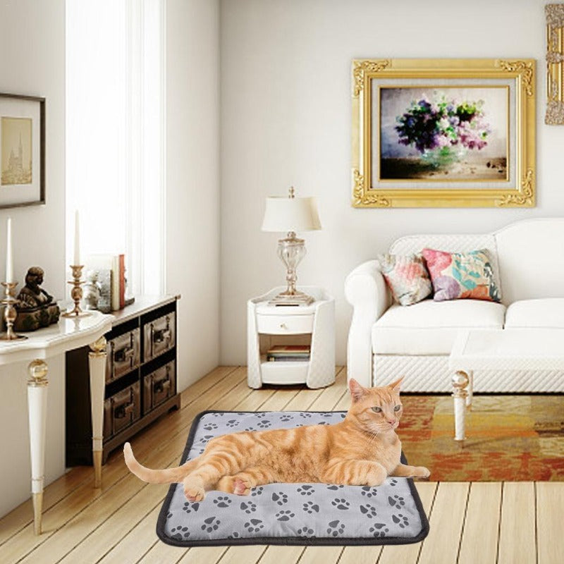 Cat lying on a paw print mat in a living room with a white couch and decorative items.