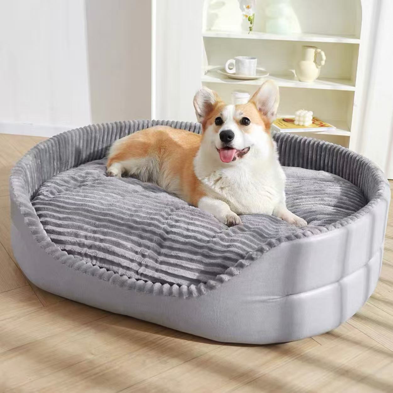 Dog lying on a gray pet bed in a room with a shelf in the background.