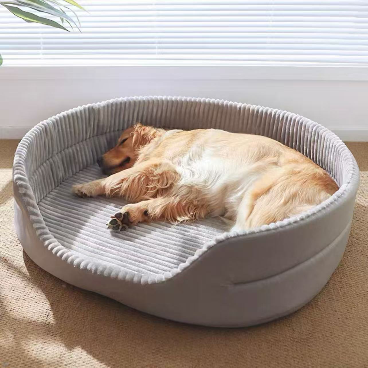 Dog sleeping on a gray pet bed in a sunlit room.