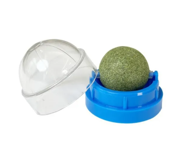 Green ball in a blue container with a clear lid on a white background