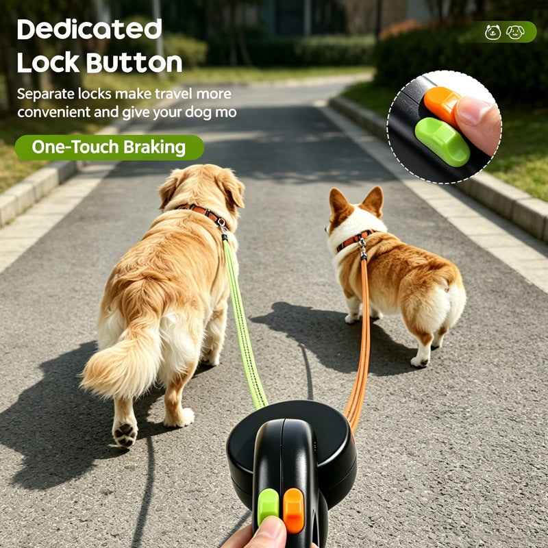 Two dogs on leashes with a dog walking device on a road.