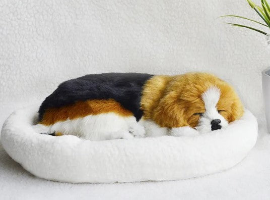 Corgi-shaped pet bed on a white surface with a plant in the background