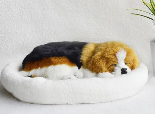 Corgi-shaped pet bed on a white surface with a plant in the background