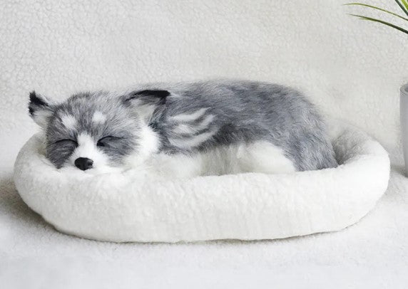 Gray and white cat sleeping on a white cushion with a light gray background