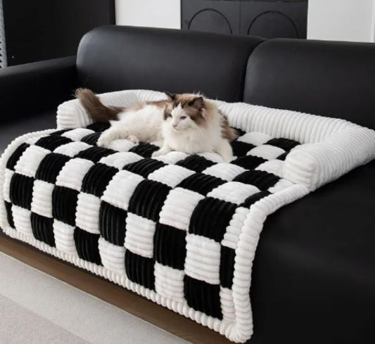 Cat lying on a black and white checkered blanket on a black leather couch.
