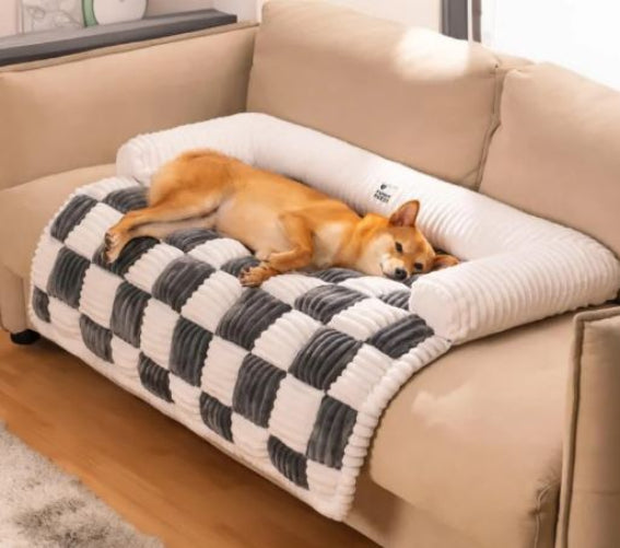 Dog resting on a checkered blanket on a beige sofa