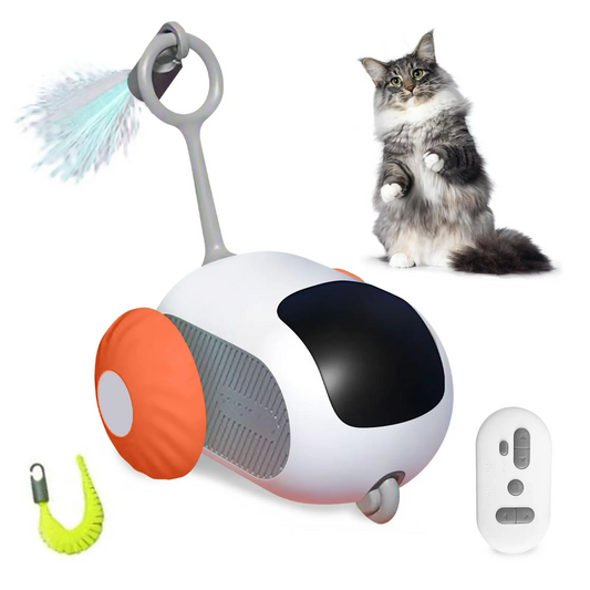 Interactive cat toy with a remote control and a cat sitting next to it on a white background